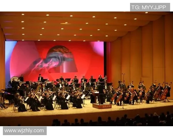 原帅：从青涩少年到舞台巨星的成长之路与音乐梦想